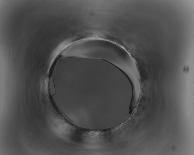 X0000101400152200807141205