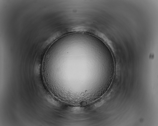 X0000101400153200807141205