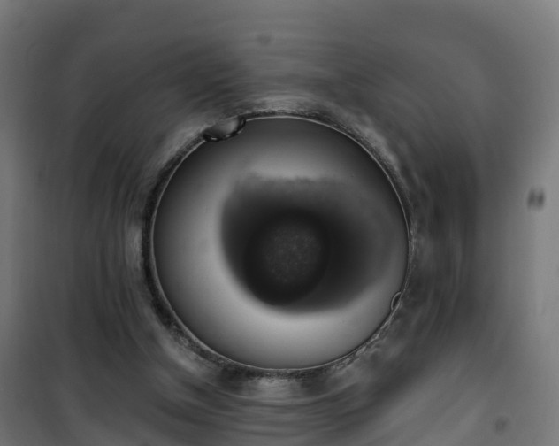 X0000101400154200807141205