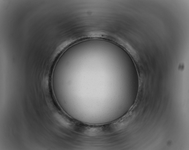 X0000101400155200807141205