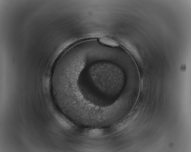 X0000101400156200807141205