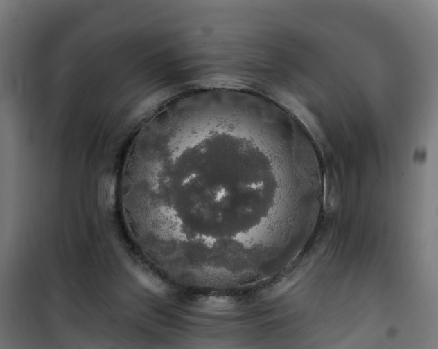 X0000101400157200807141205