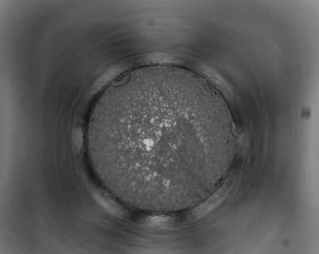 X0000101400158200807141205