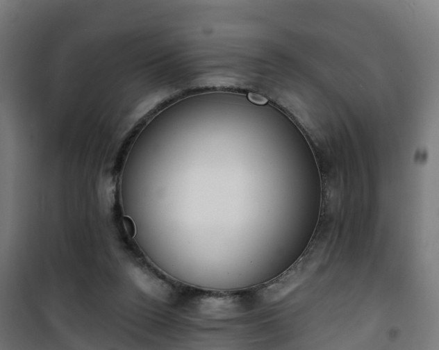 X0000101400160200807141205