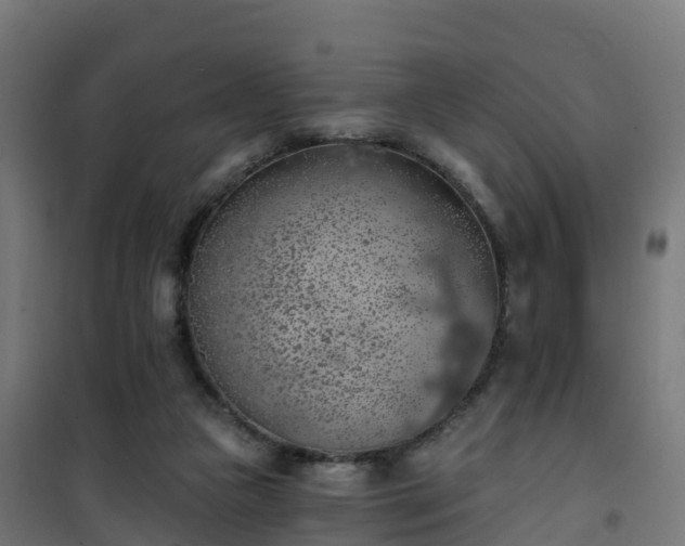 X0000101400161200807141205