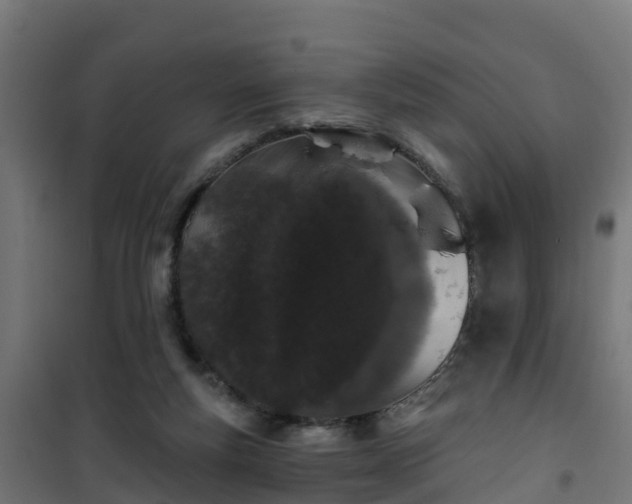 X0000101400163200807141205