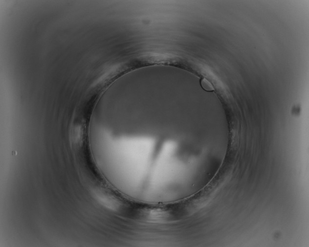 X0000101400165200807141205