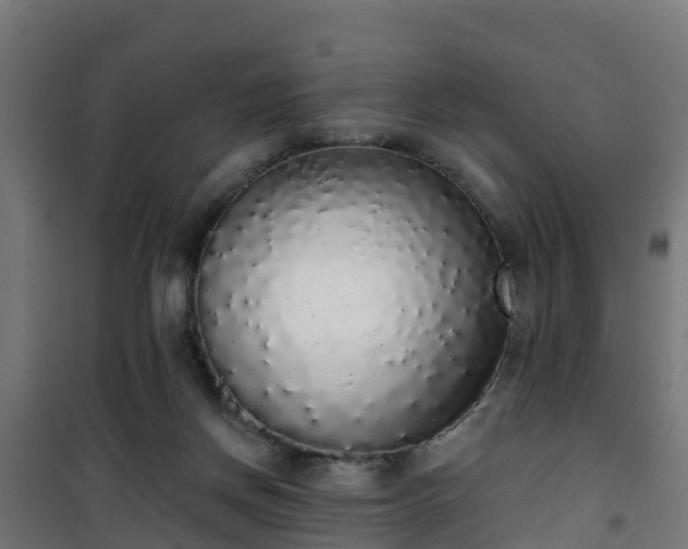 X0000101400166200807141205