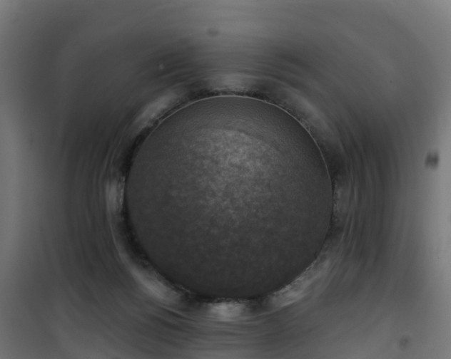 X0000101400168200807141205