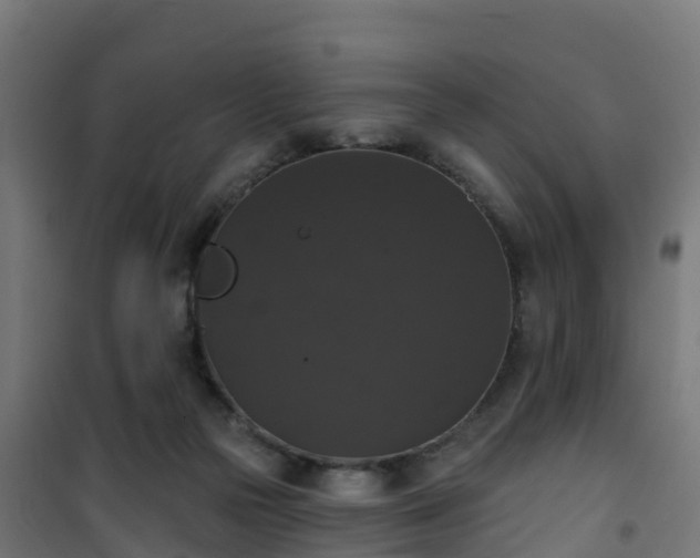 X0000101400169200807141205