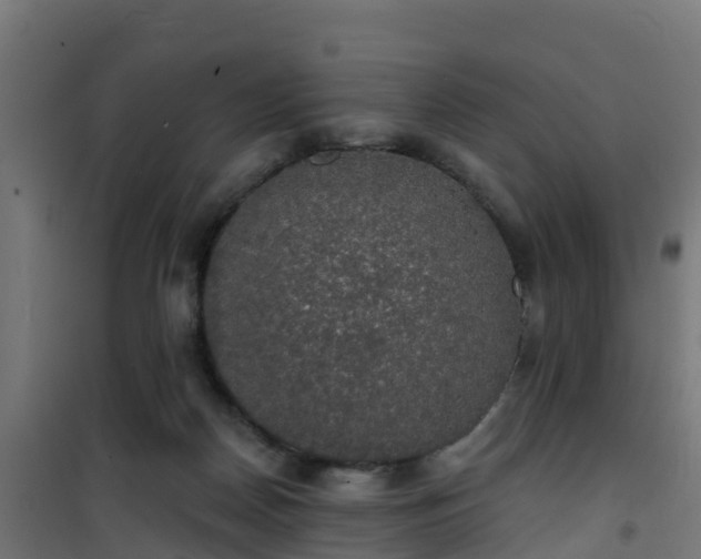 X0000101400170200807141205