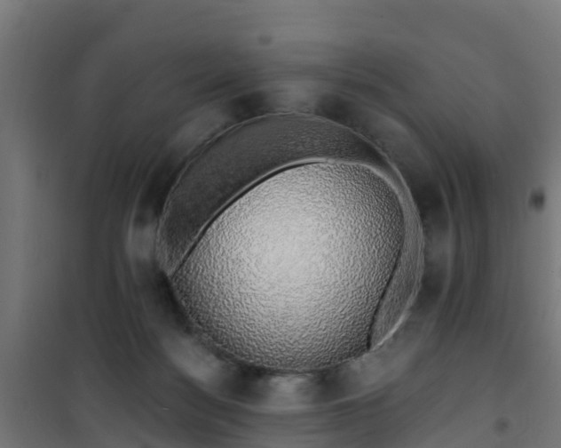 X0000101400172200807141205