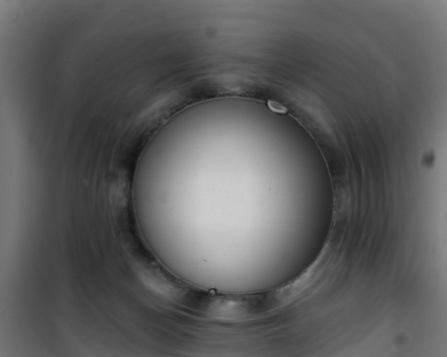 X0000101400174200807141205