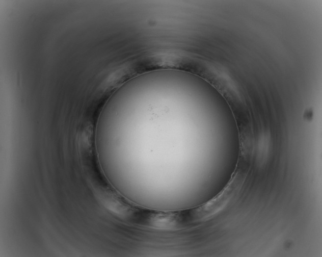 X0000101400175200807141205