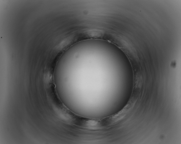 X0000101400176200807141205