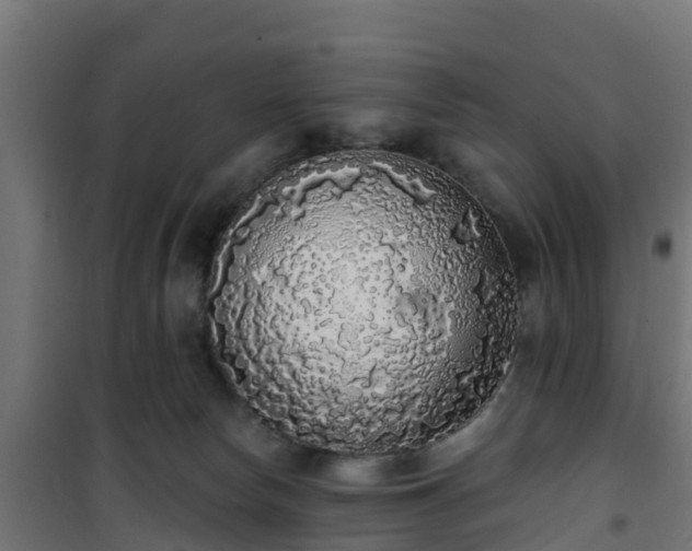 X0000101400178200807141205