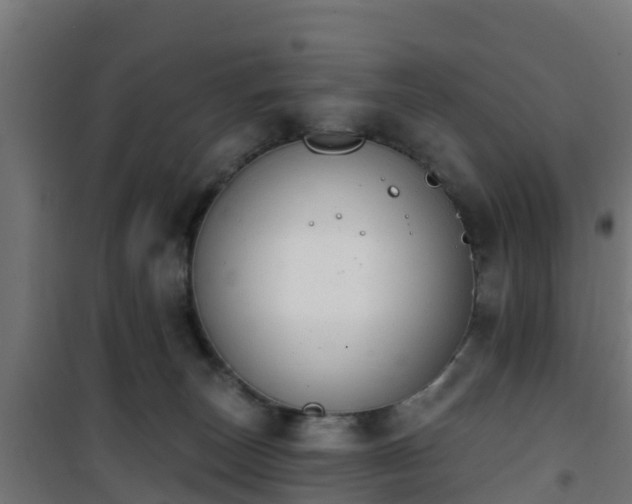 X0000101400179200807141205