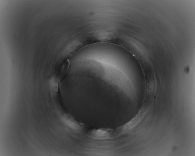 X0000101400180200807141205