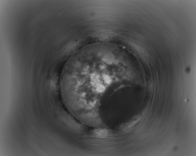 X0000101400181200807141206