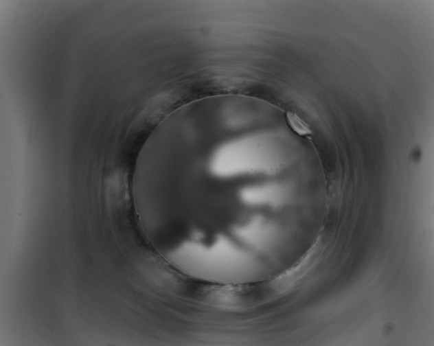 X0000101400182200807141206