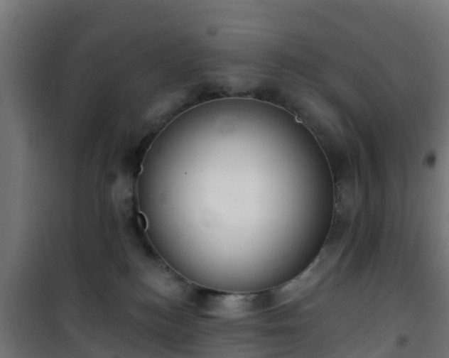 X0000101400184200807141206