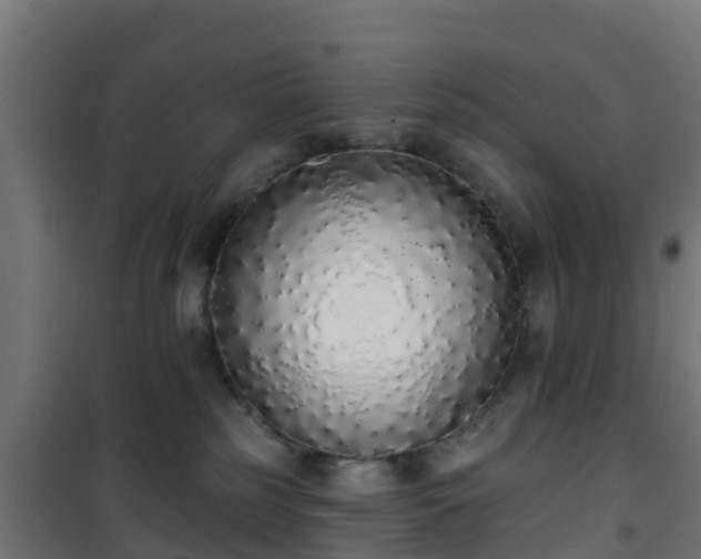 X0000101400185200807141206