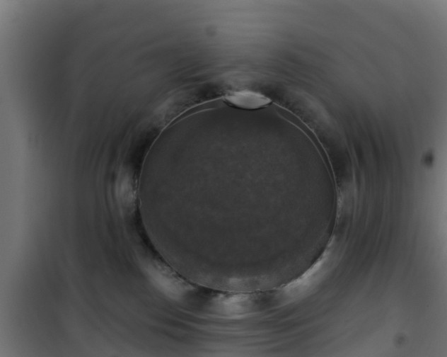 X0000101400186200807141206