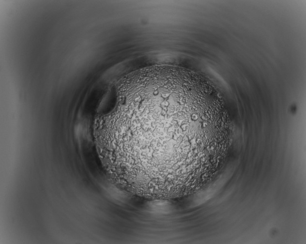 X0000101400189200807141206