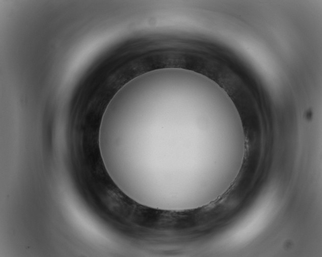 X0000101400190200807141206