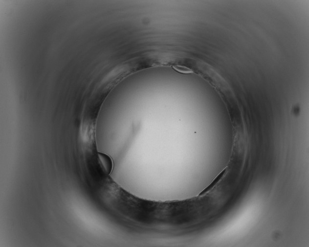 X0000101400191200807141206