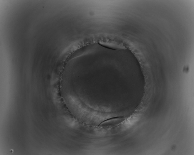 X0000101400192200807141206