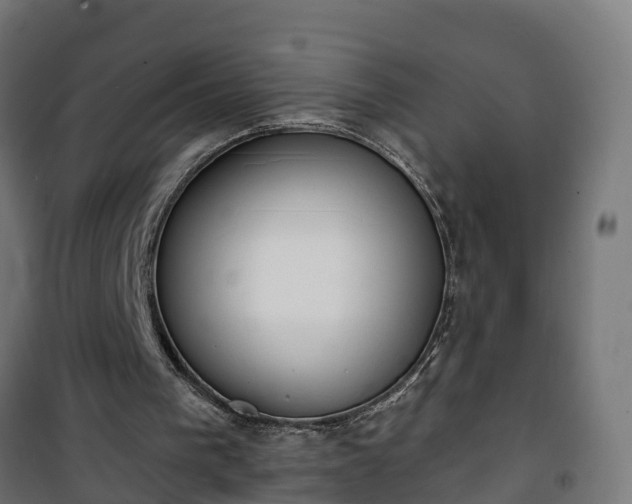 X0000101400193200807141205