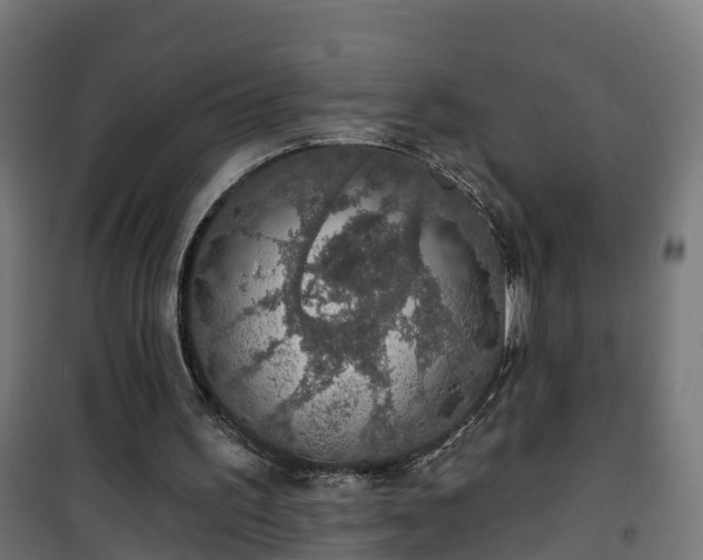 X0000101400195200807141205