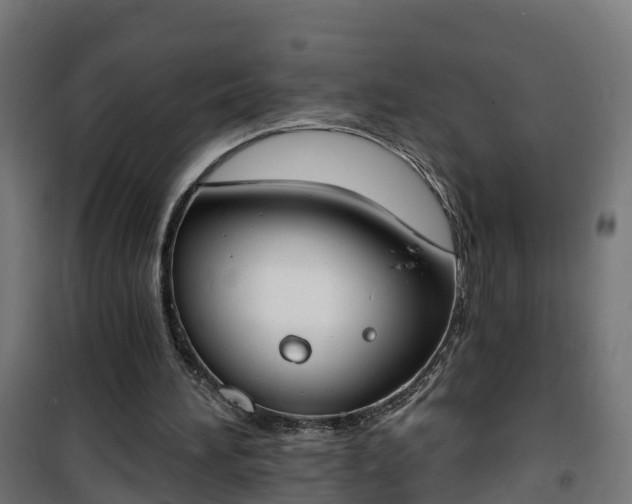 X0000101400196200807141205