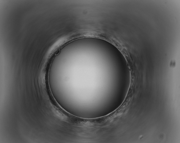 X0000101400197200807141205