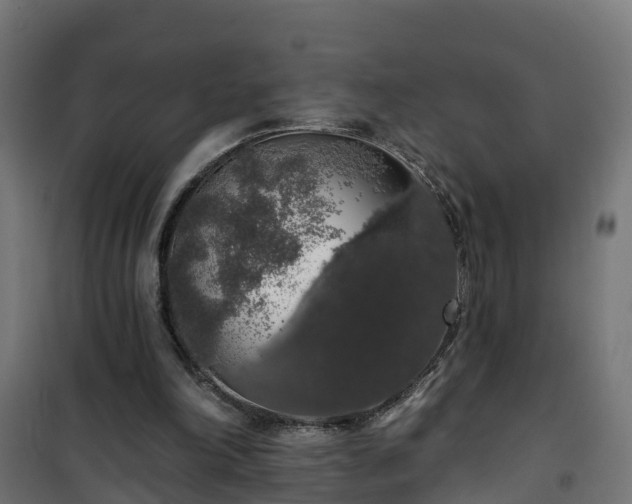 X0000101400198200807141205