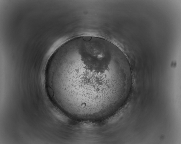 X0000101400199200807141205