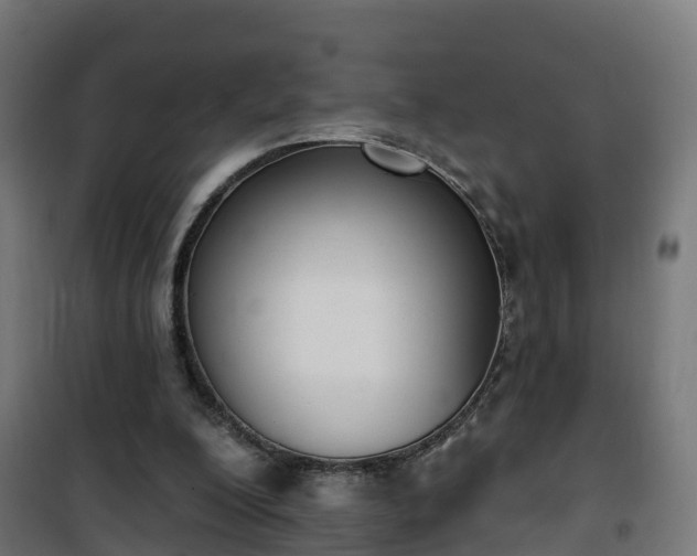 X0000101400200200807141205