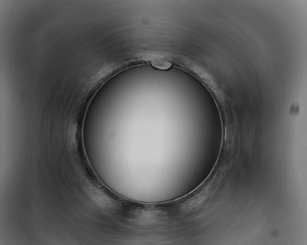 X0000101400201200807141205