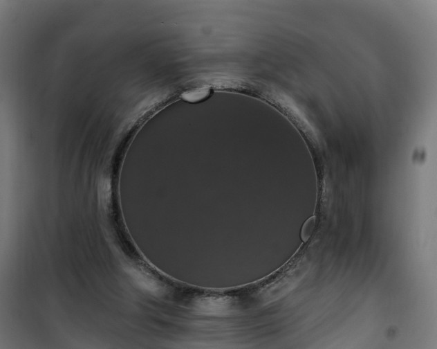 X0000101400202200807141205