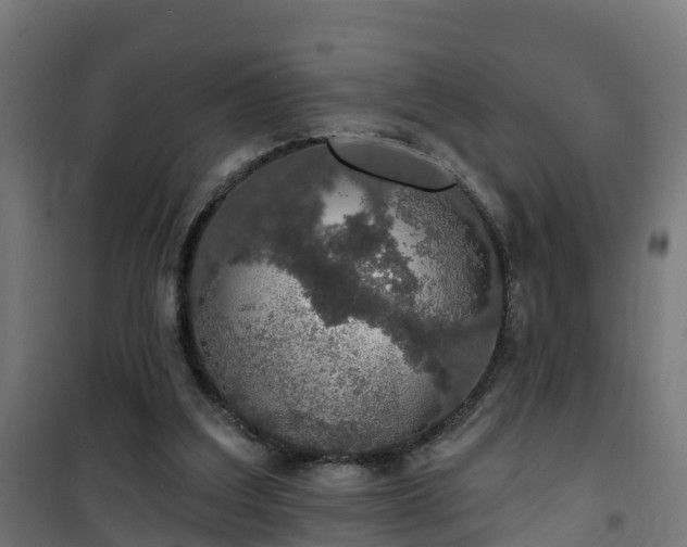 X0000101400203200807141205