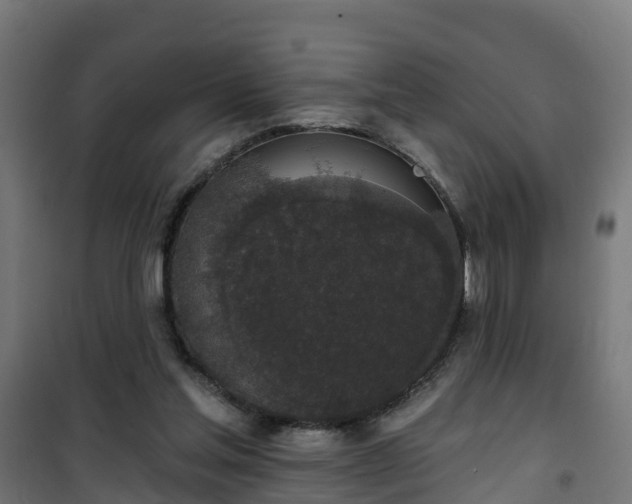 X0000101400205200807141205