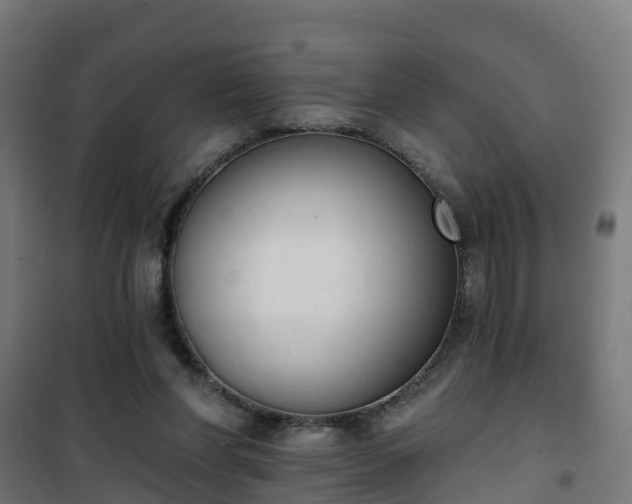 X0000101400206200807141205