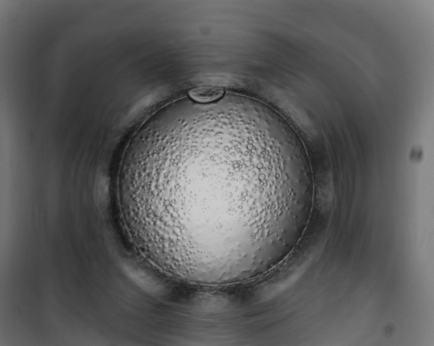 X0000101400207200807141205