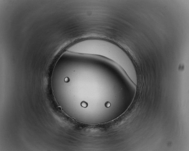 X0000101400208200807141205