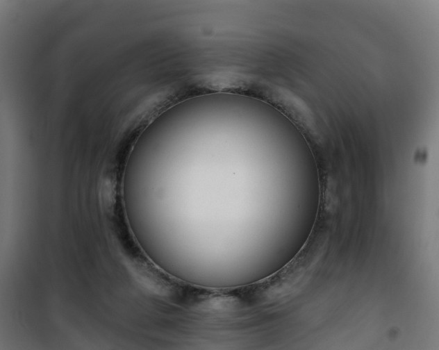 X0000101400210200807141205