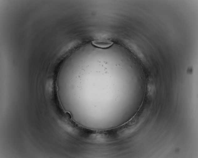 X0000101400211200807141205