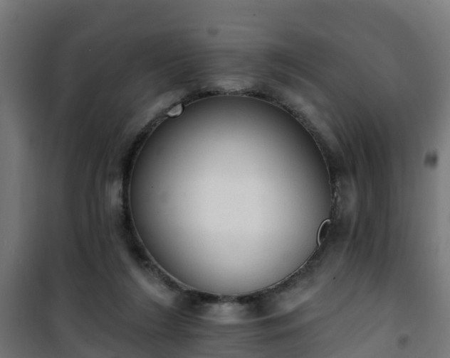 X0000101400212200807141205