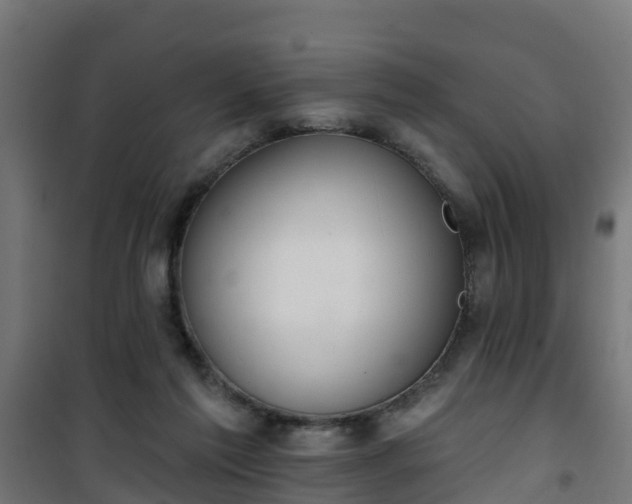 X0000101400213200807141205