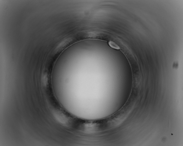 X0000101400216200807141204